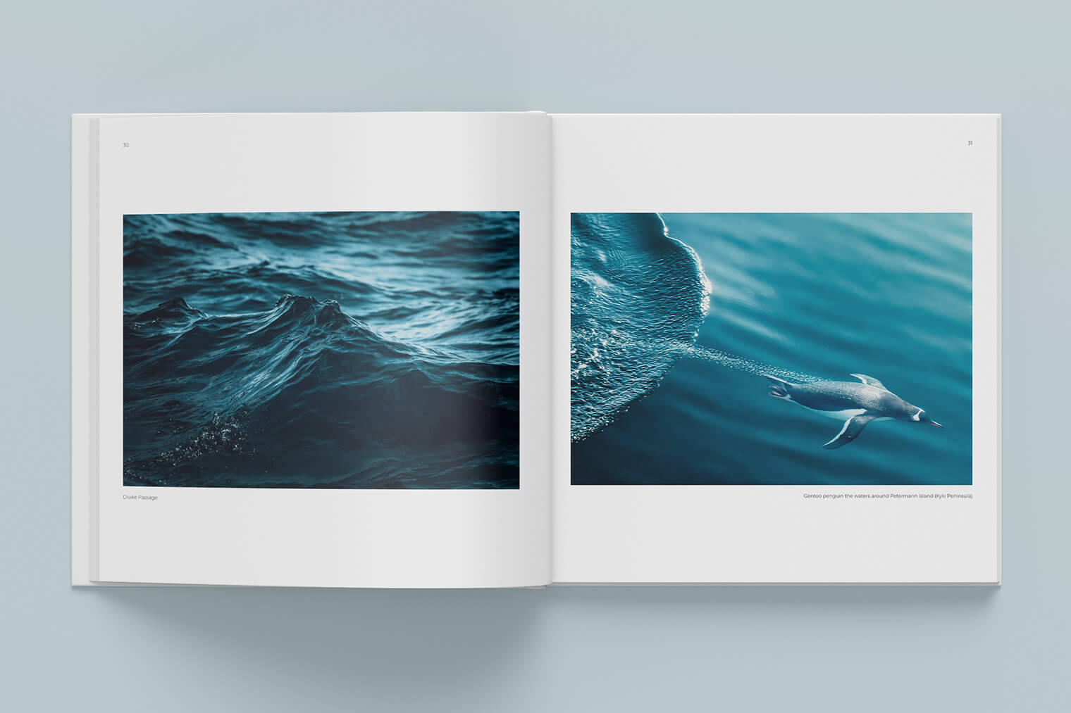 »Antarctica« Sailing Expedition with the Bark Europa (Book by Jan Erik Waider)