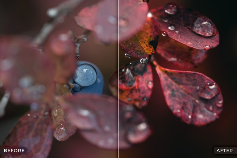 Capture One Styles for Moody Landscapes - Before & After Examples