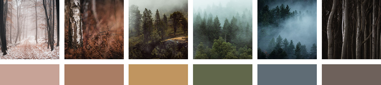 Moody Forest Landscapes