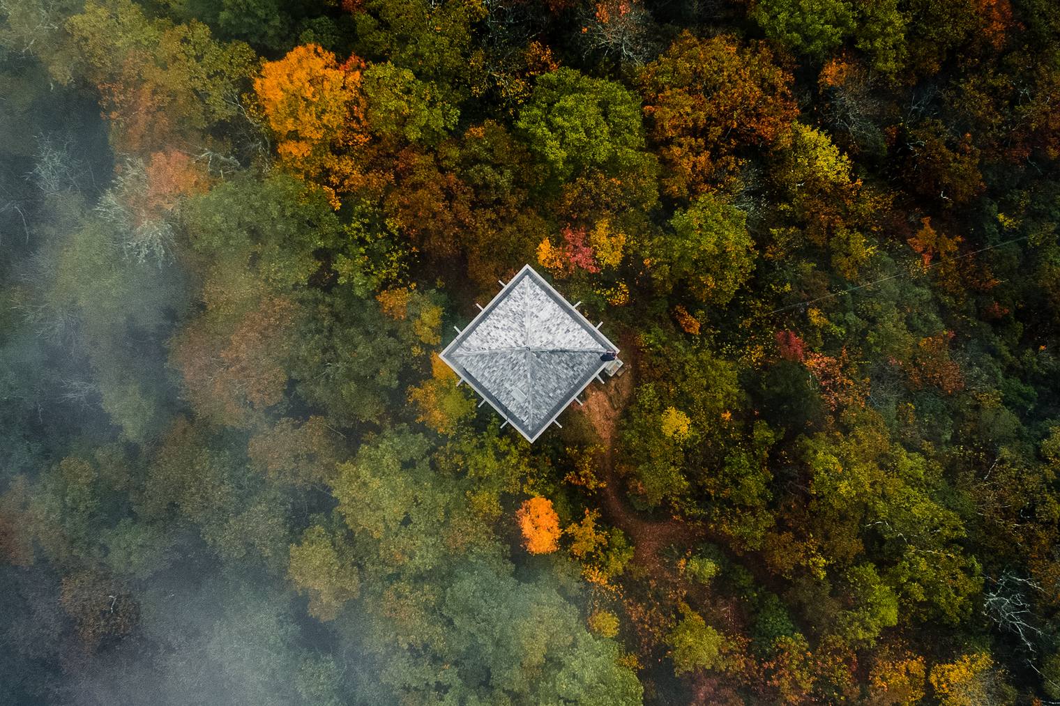 Forest landscape photo edited with Landscape Essentials Lightroom Presets