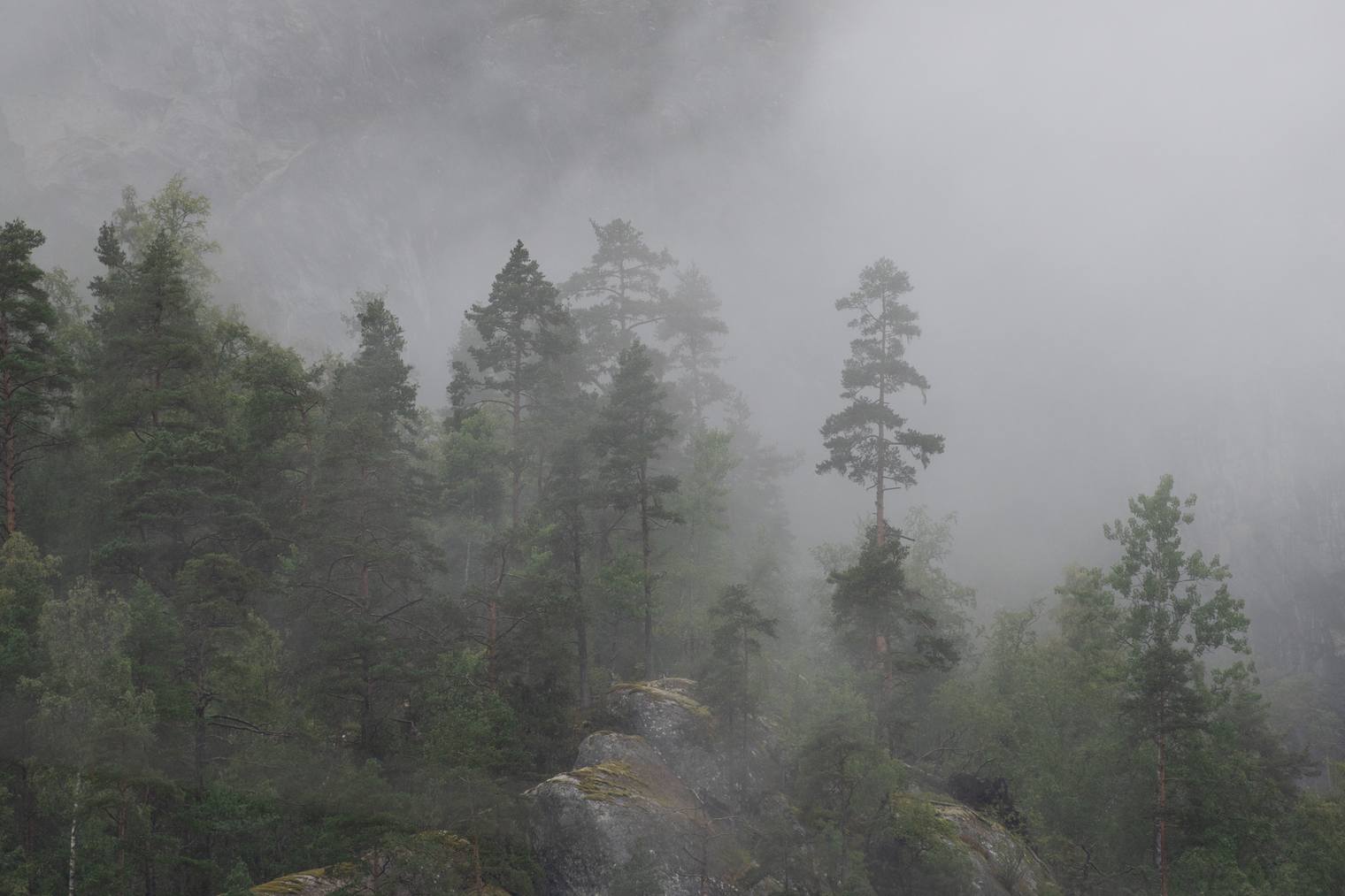 Original and unprocessed photo