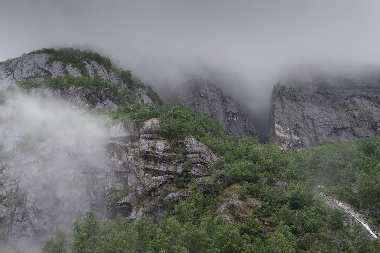 Original and unprocessed photo