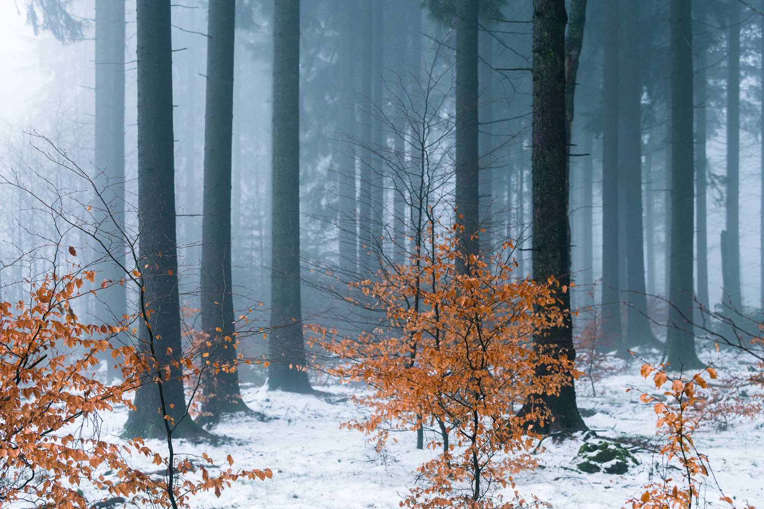 Photo edited with Lightroom presets for snowy winter landscapes