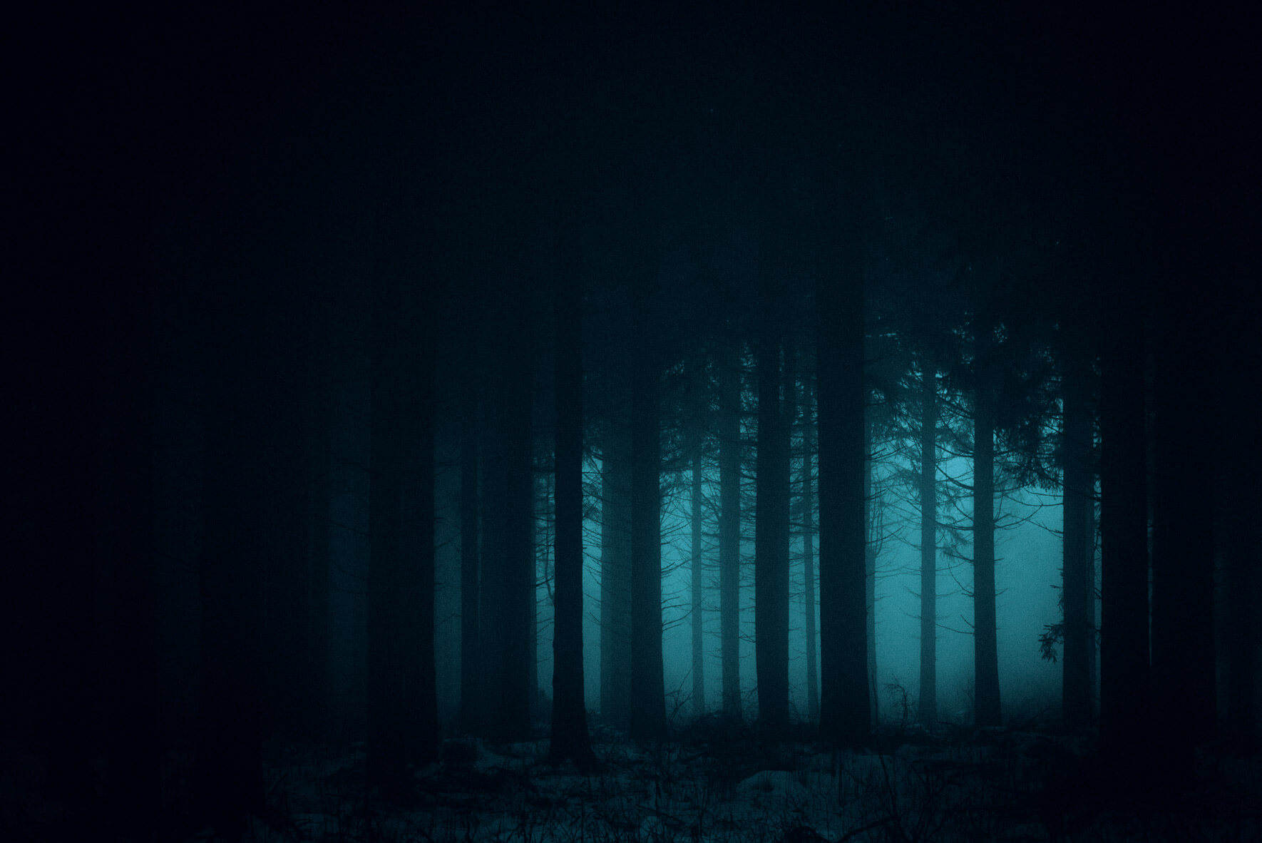 Winter forest - Atmospheric landscape and fine art photography by Jan Erik Waider