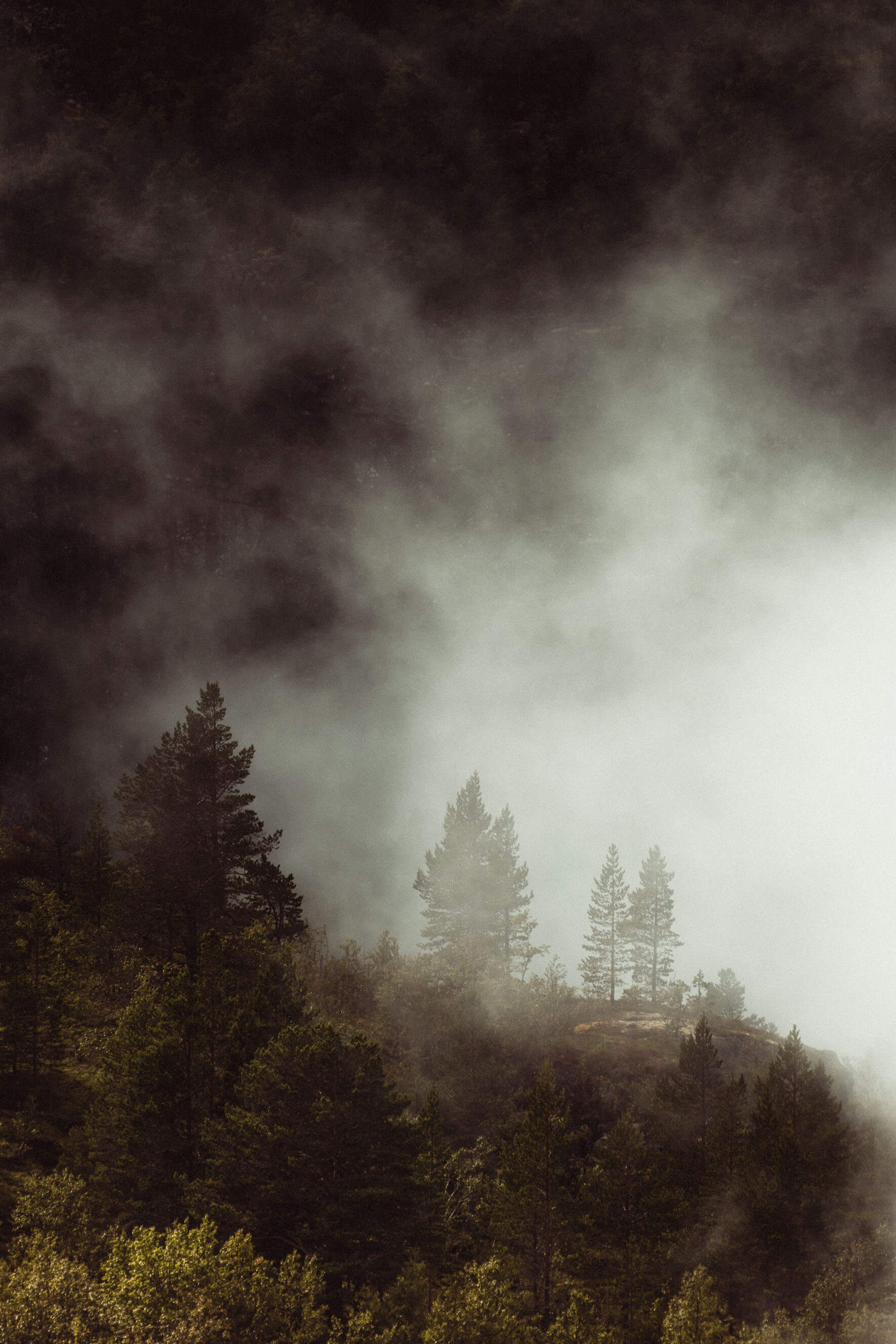 Fog over Autumn Forest in Norway