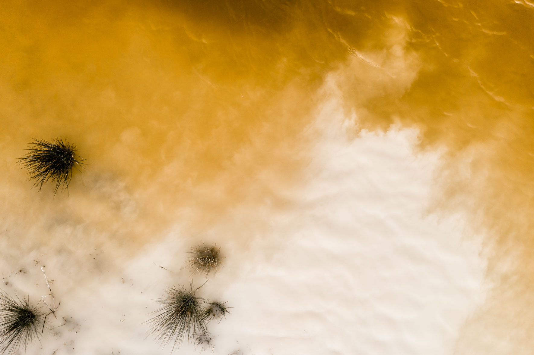 Yellow lake with chalk water and vegetation