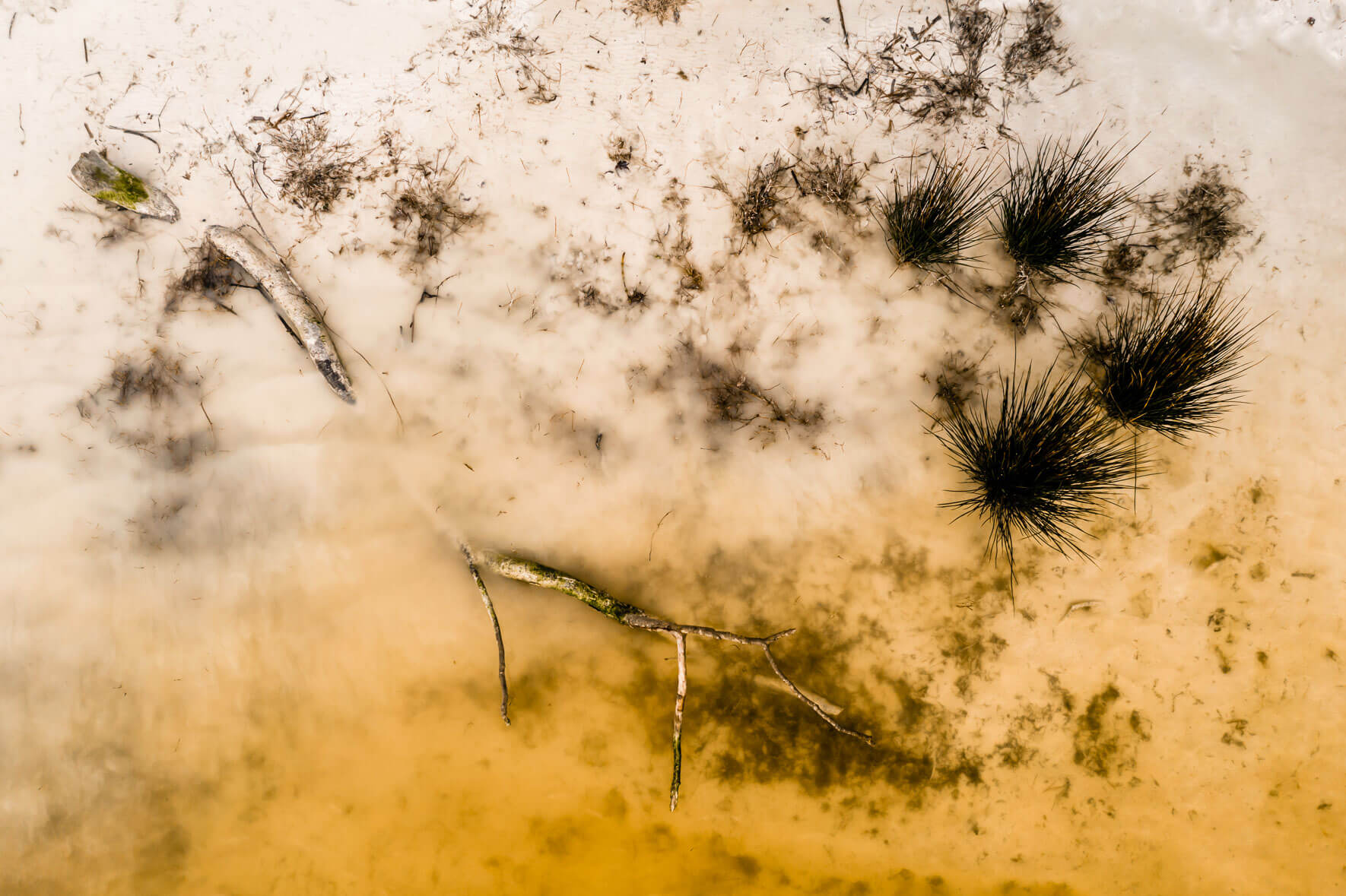 Yellow lake with chalk water and vegetation