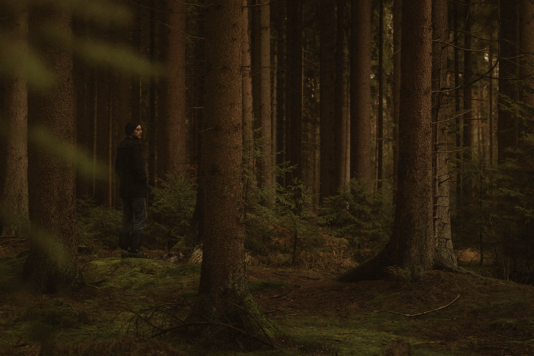 Man standing in a dark forest with tall trees and small firs