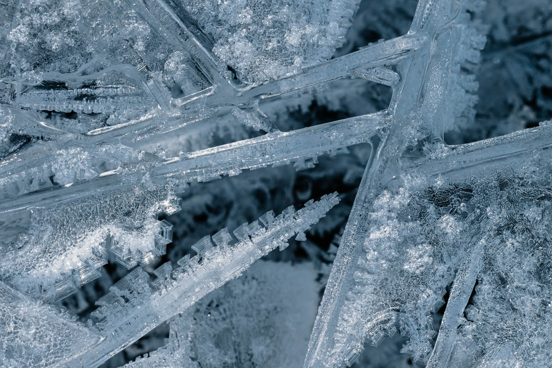 Macro photography of abstract and beautiful ice crystals