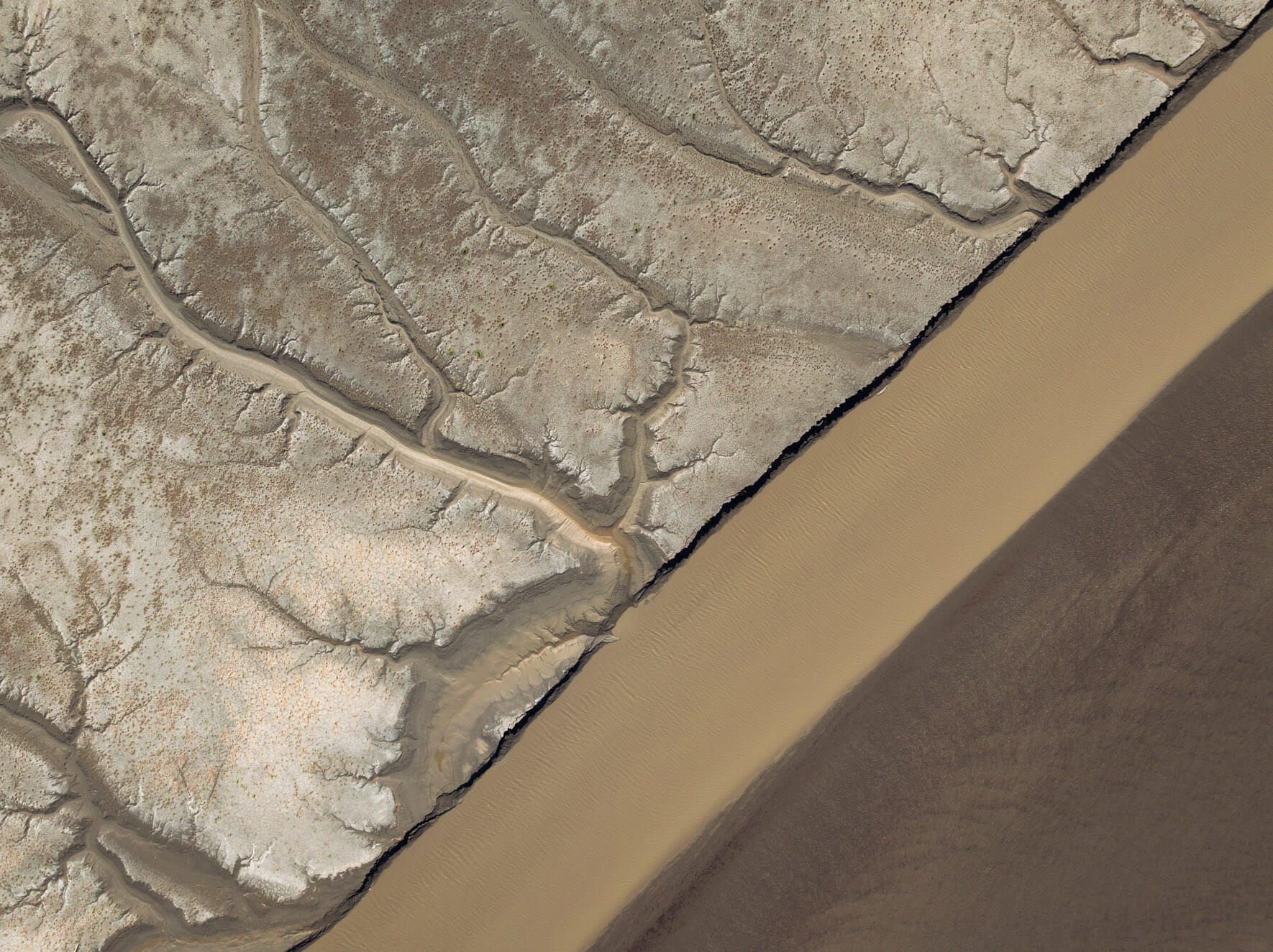 Meandering tidal channels carving through exposed terrain at low tide