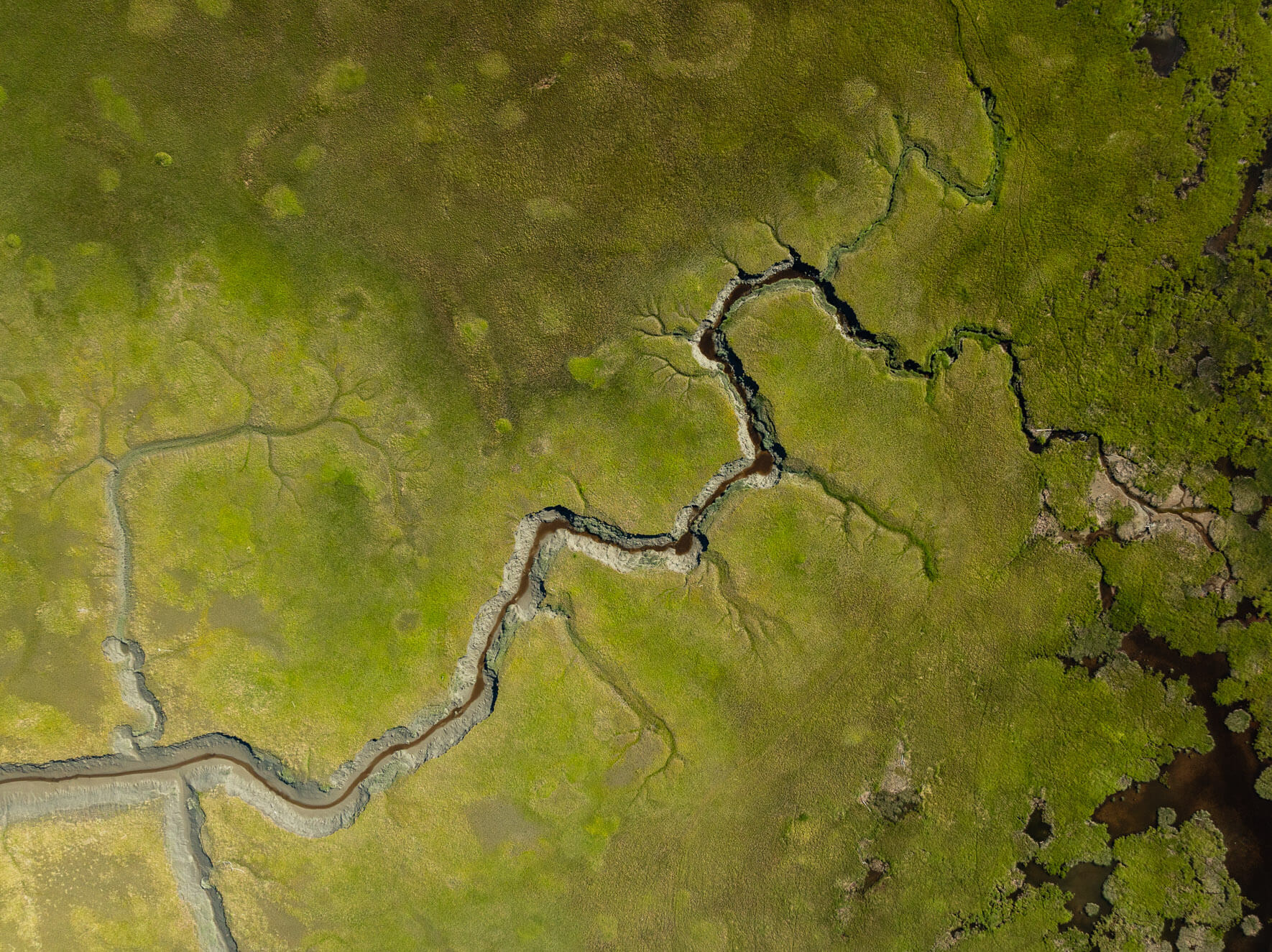 Aerial photography of Alaska’s tidal flats with intricate water channels and sediment patterns
