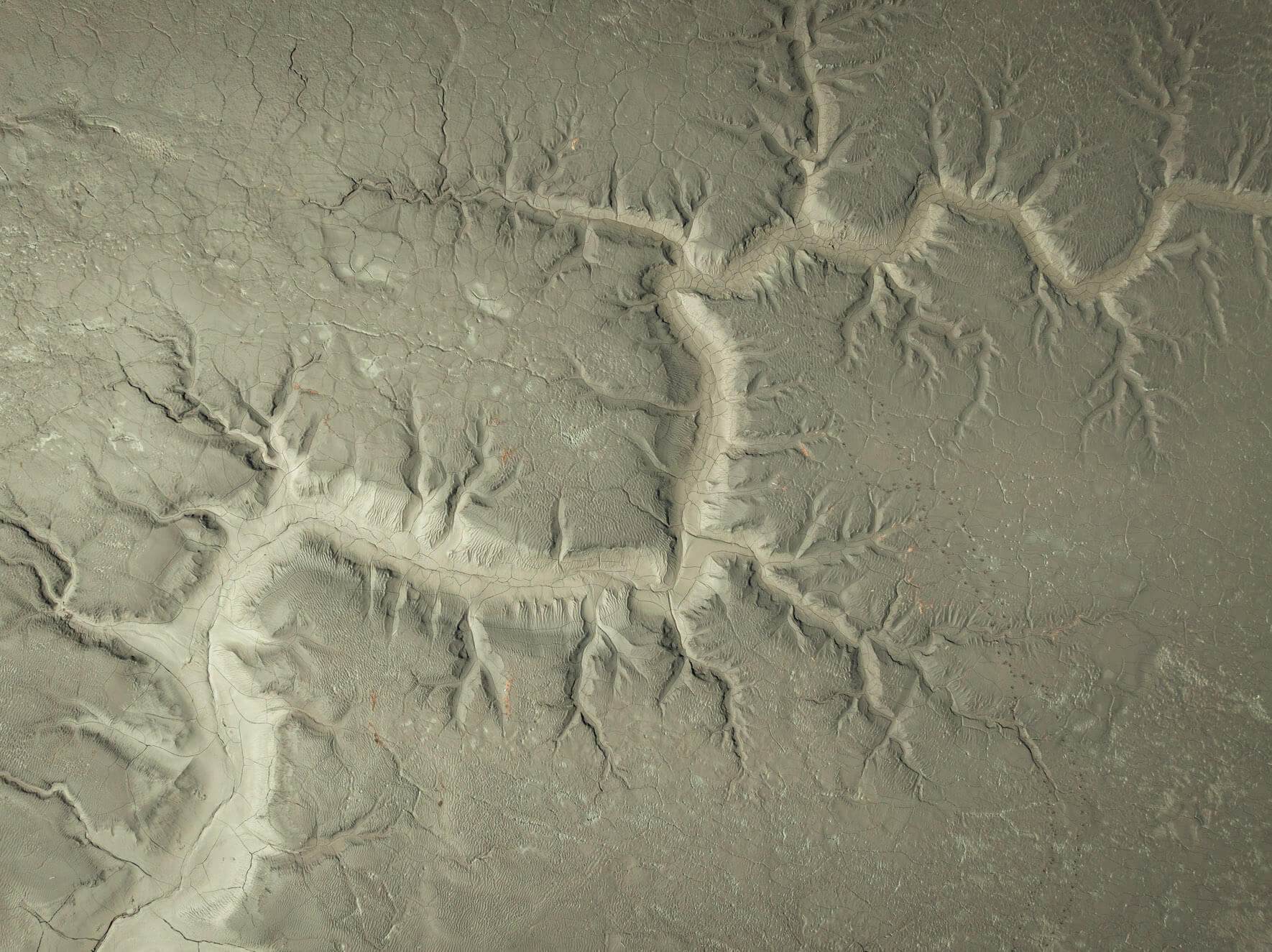 Exposed tidal flats in Alaska, revealing vein-like structures formed by receding water