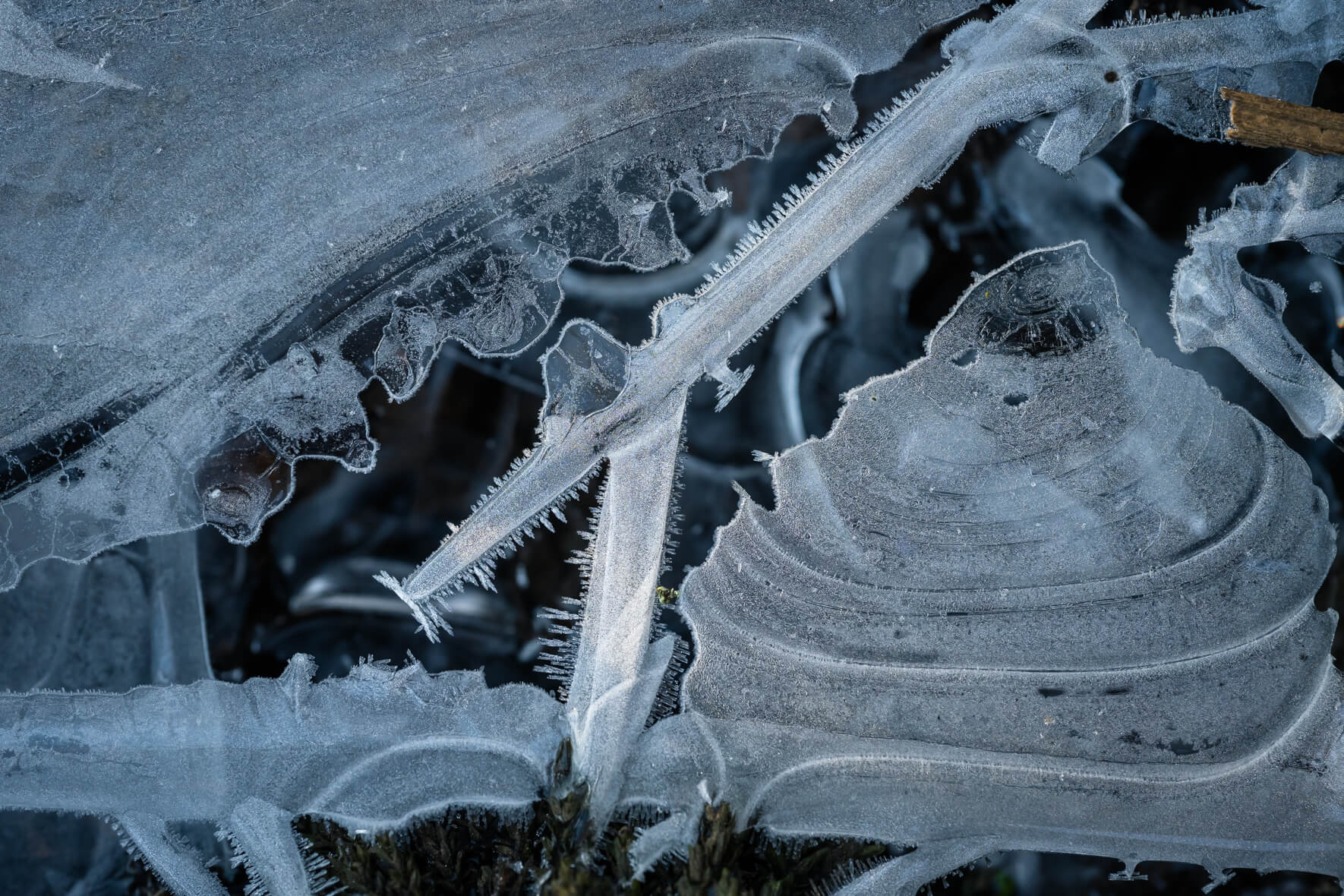 Macro photography of a frozen stream with ice crystals