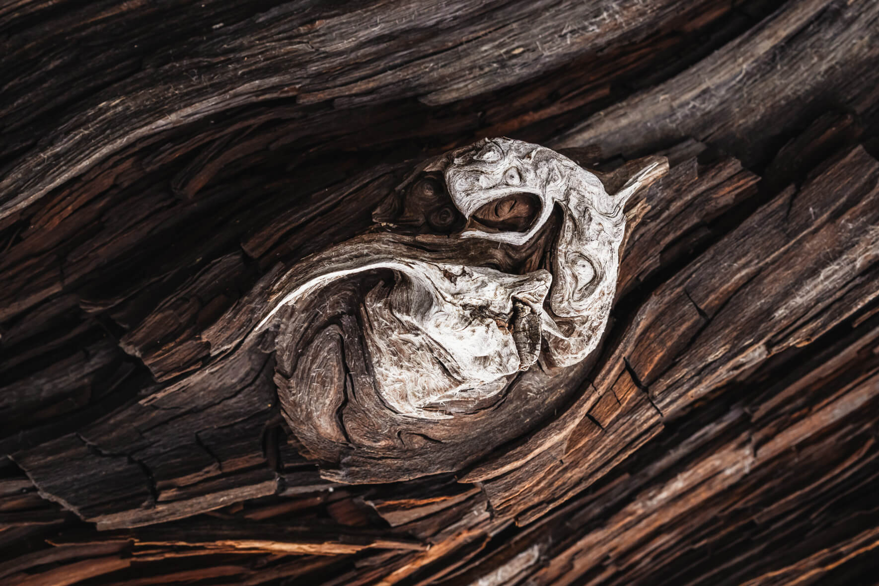 Swirling wood grain resembling flowing textures shaped by wind and time