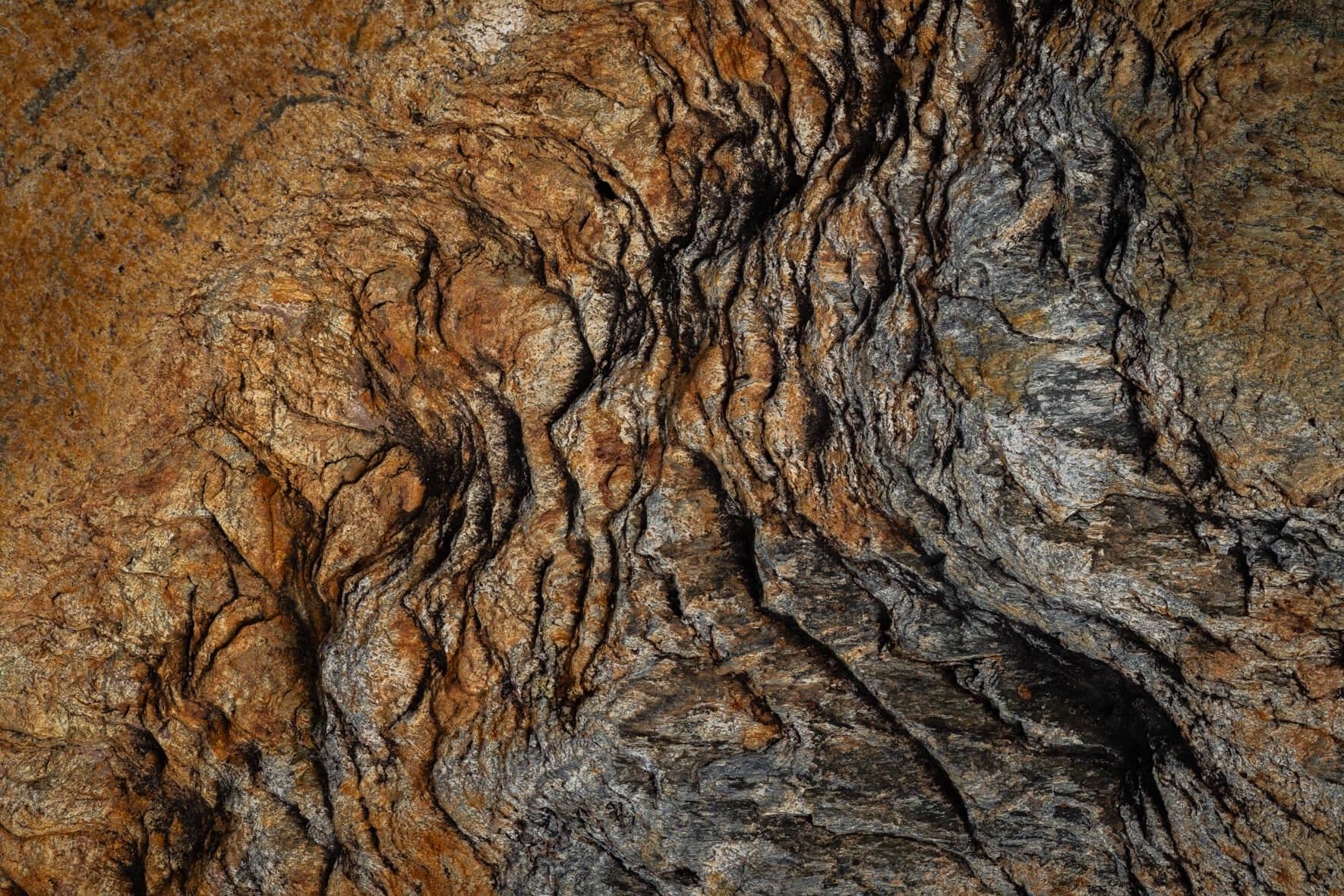 Fine rock folds showing light and dark mineral transitions