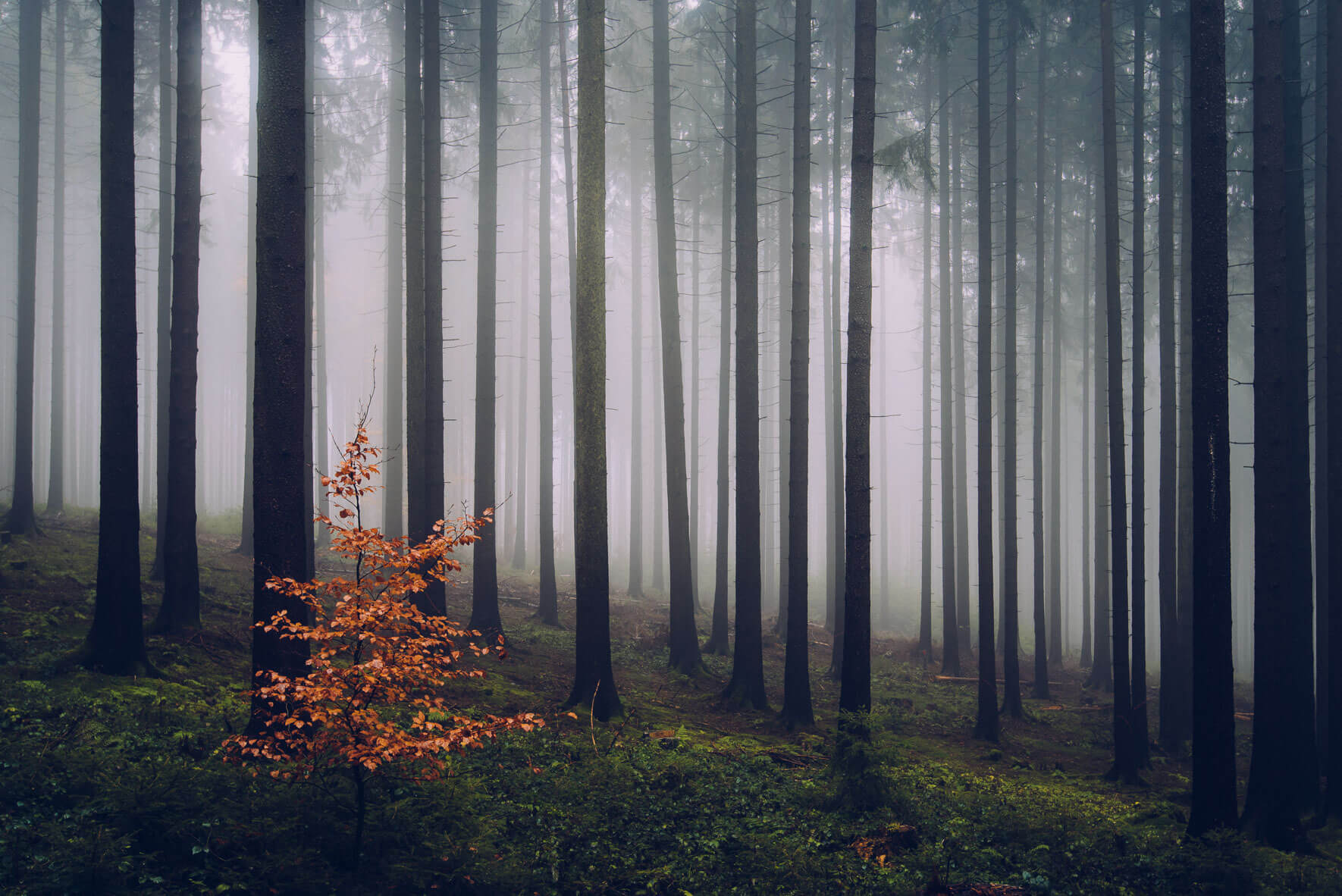 Nordic landscape photography by visual artist and photographer Jan Erik Waider