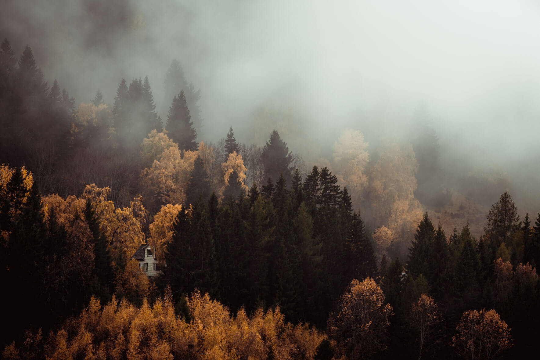 A small house in the autumn forest with rain clouds