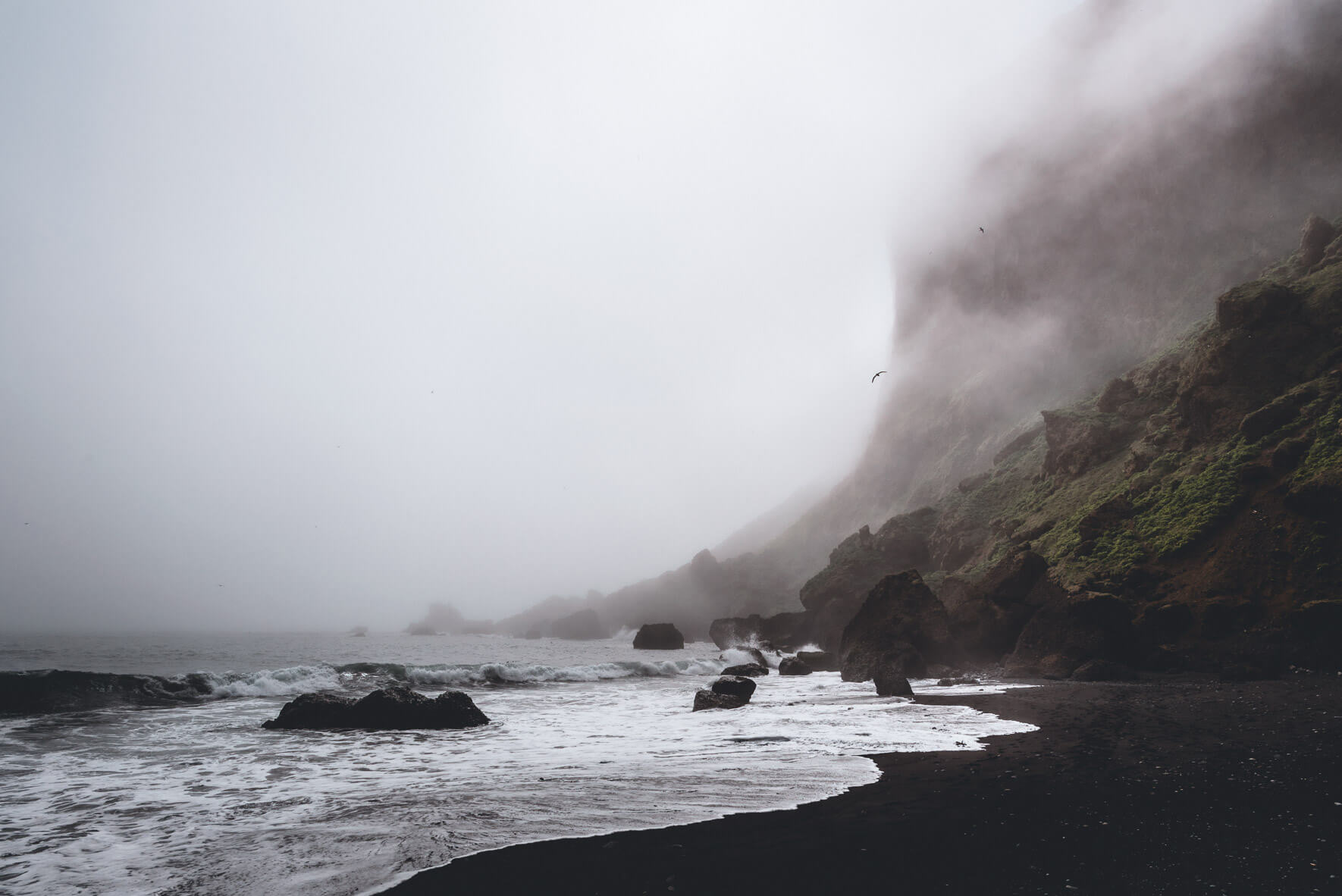 The black sand beach of Vík í Mýrdal in Iceland